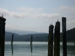 Glendale Cove, Knight Inlet