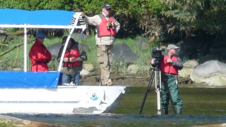 photgrapher in water