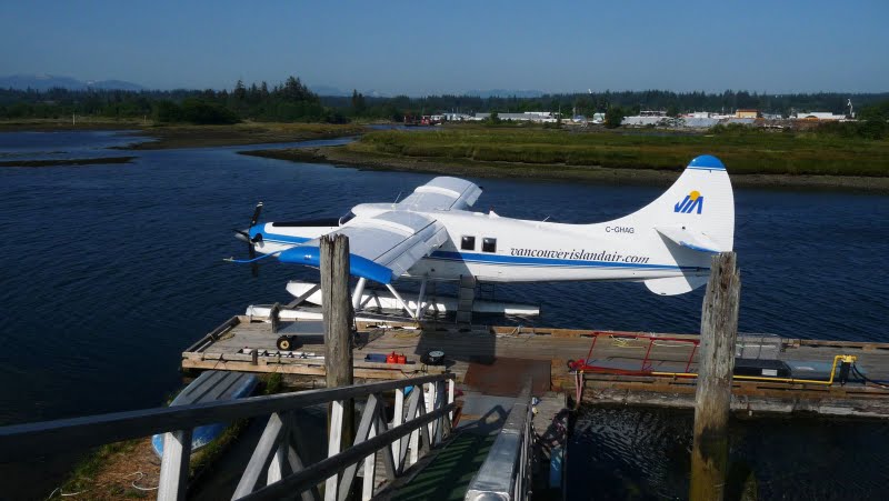 turbine otter