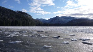 Frozen Glendale Cove