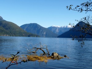 Knight Inlet Lodge