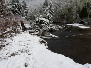 fisheries work on Glendale River