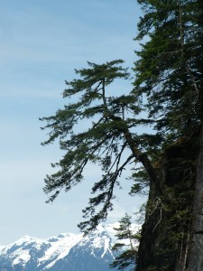 Knight Inlet scenic view