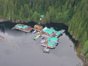 aerial view of Knight Inlet Lodge