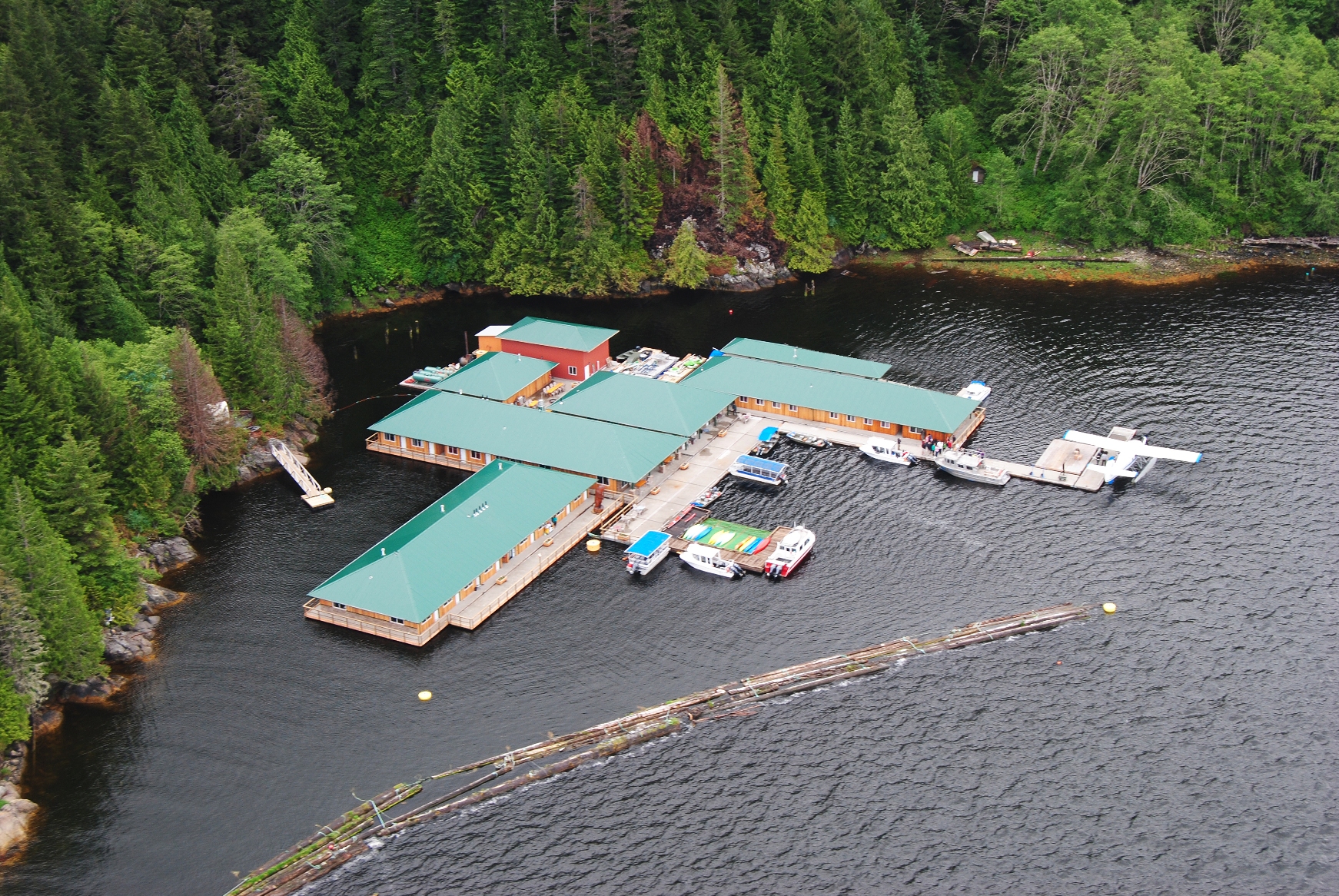 grizzly bear tours knight inlet