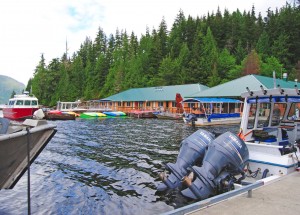 grizzly bear lodge