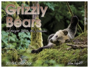 2015 Calendar Front