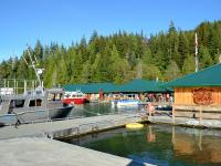 deck area at Knight Inlet Lodge