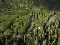 Glendale River spawning channels