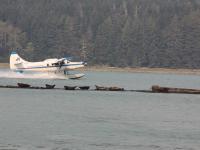 floatplane landing in Glendale Cove