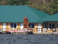 Knight Inlet Lodge