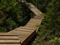 walk in the clouds boardwalk