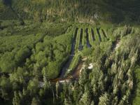 spawning channel on Glendale River