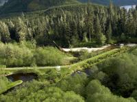 Knight Inlet Lodge viewing stands