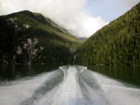 Knight Inlet marine cruise